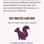 WeVibin Squirrel Tamer + Chaser Headset
