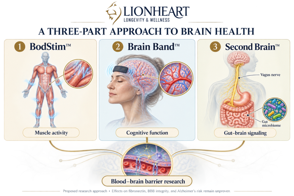 Blood Brian Barrier Research