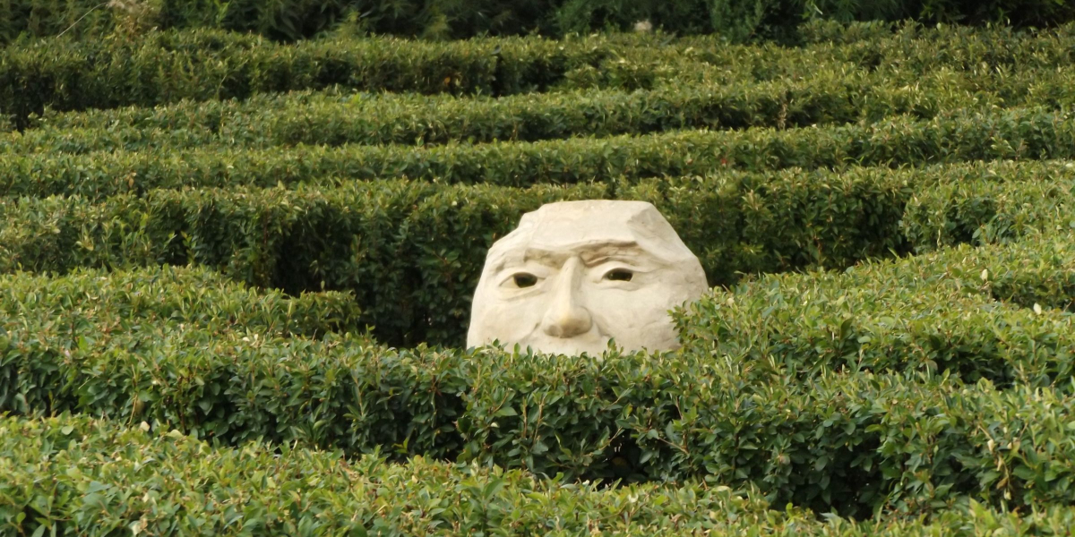 ED navigate maze
