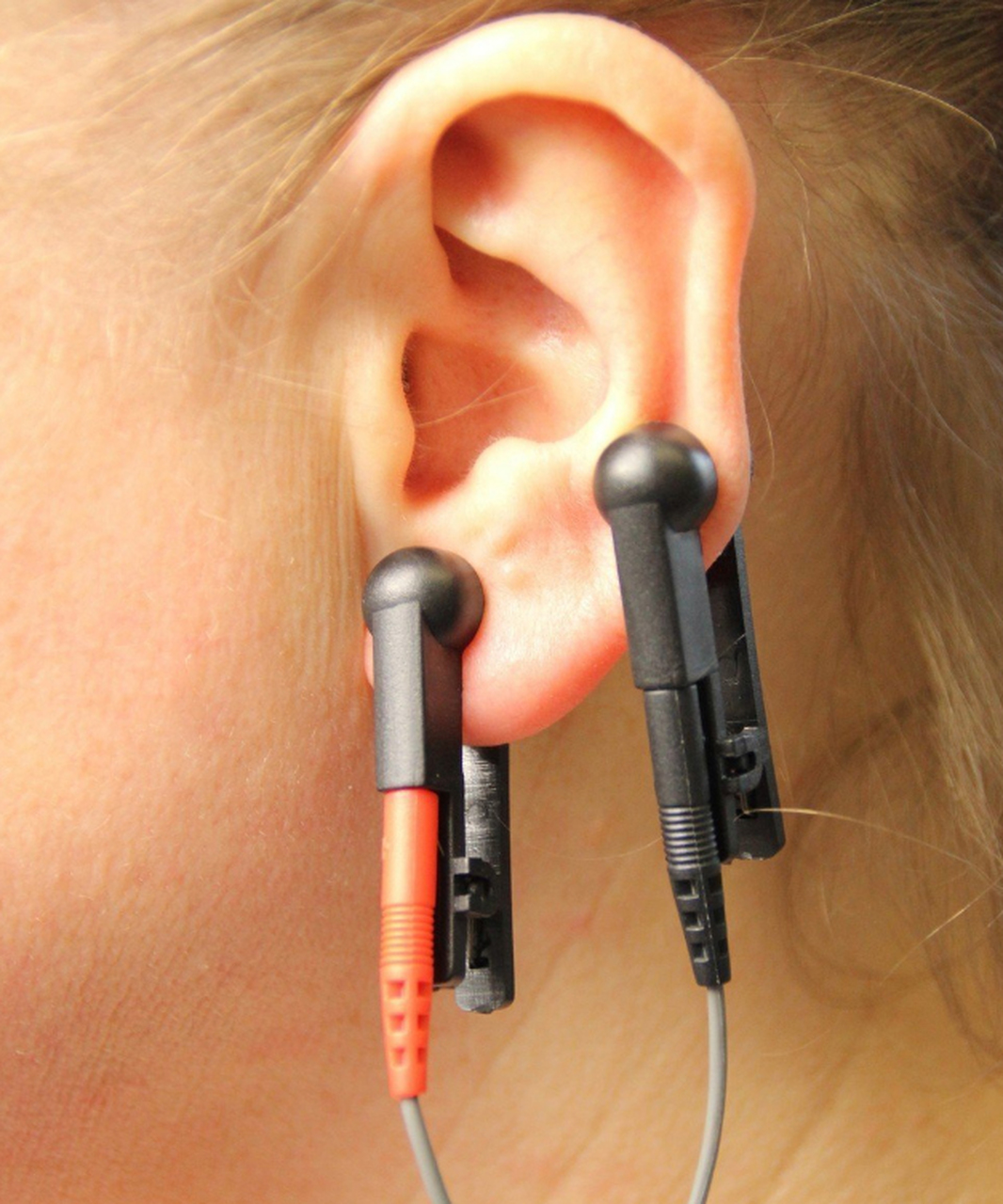 Ear Lobe