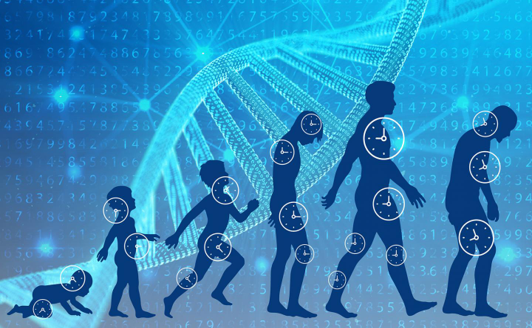 Klotho Health Aging