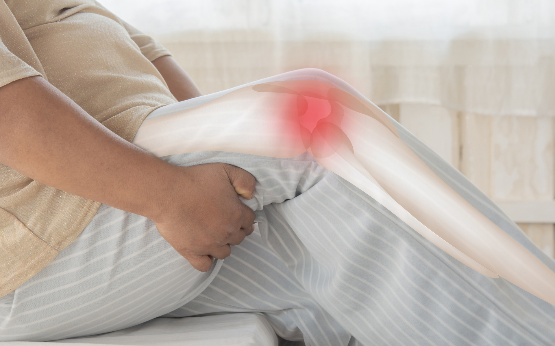 Knee anatomy