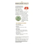 Brain & Heart Vitality: 3-Pack