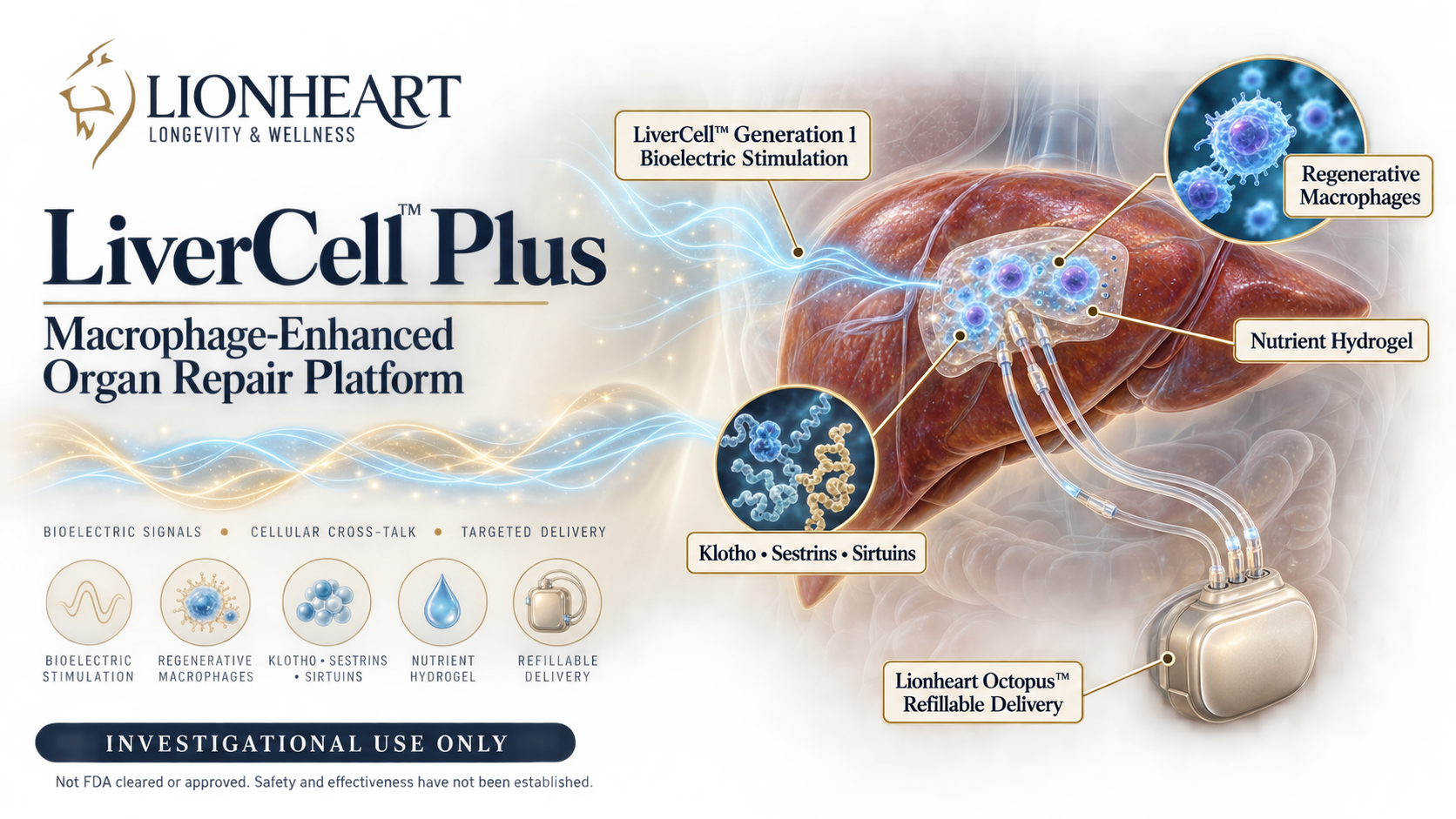 LiverCell Plus