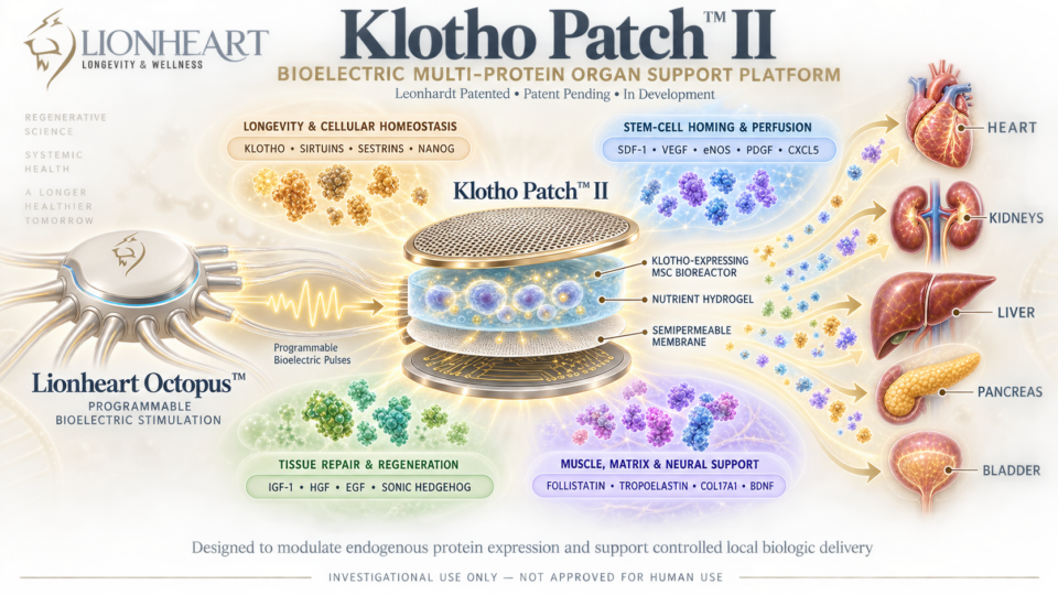 Multi protein organ