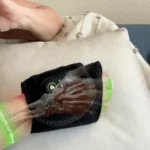 TheraWrap