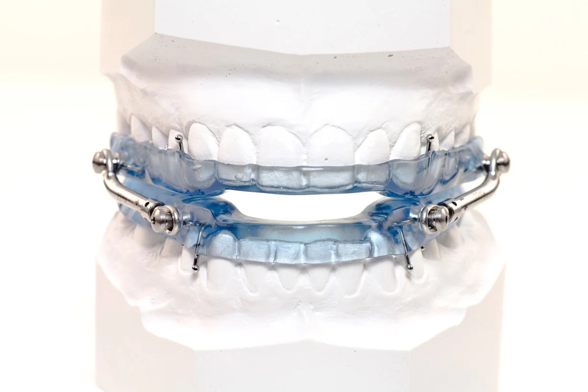 Teeth