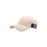 Wagcap