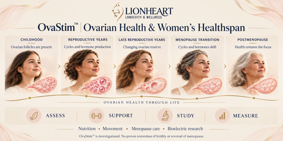 Women Health