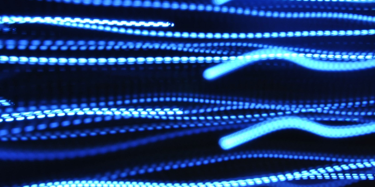 Bioelectricity ed
