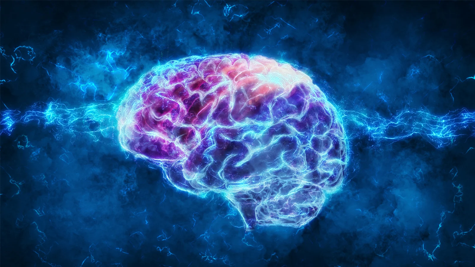 Brain hero image