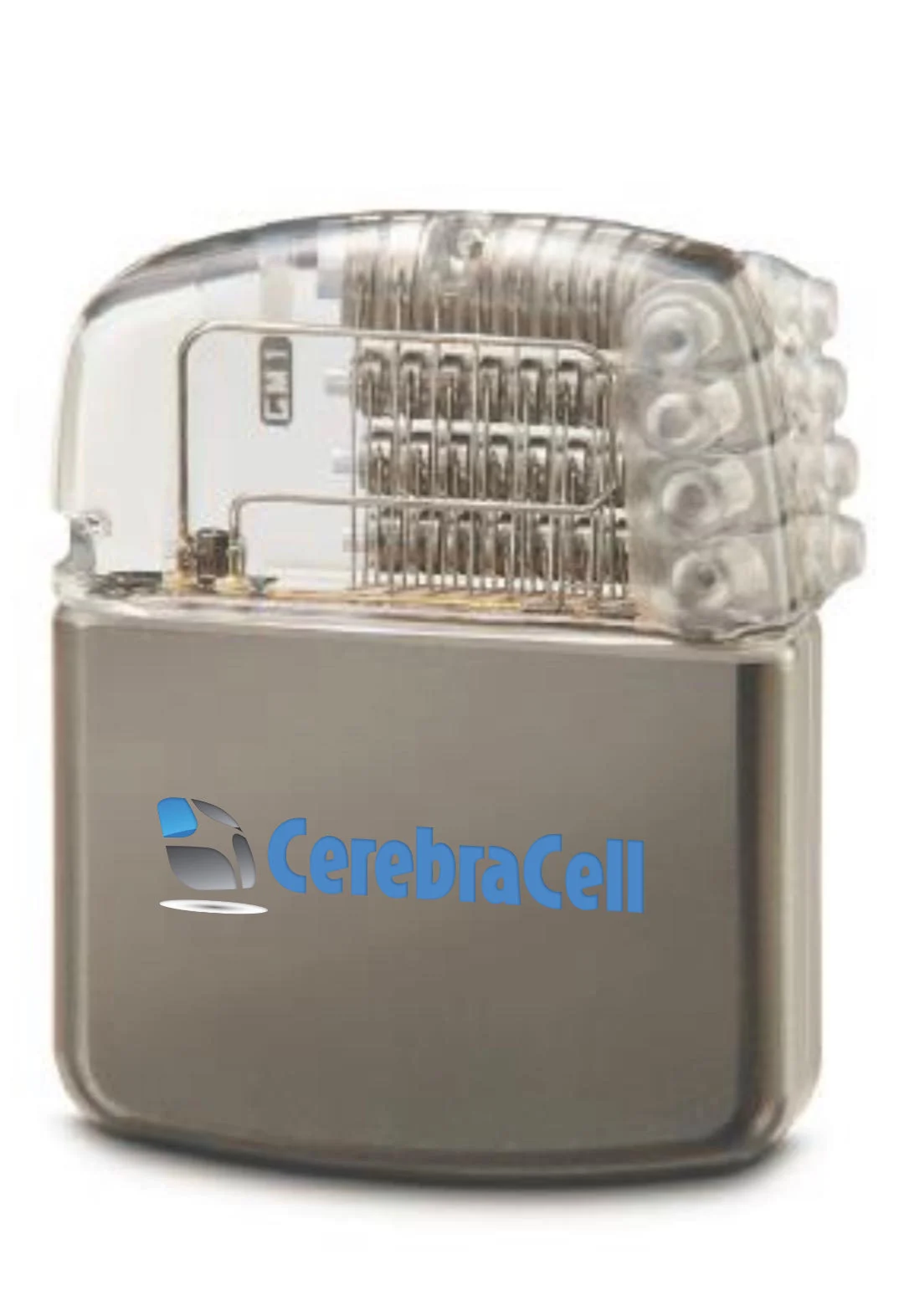 Cerebracell