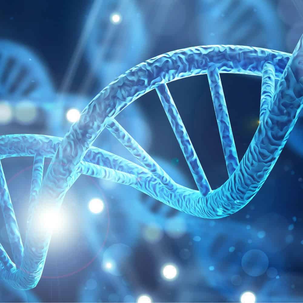 Dna strand