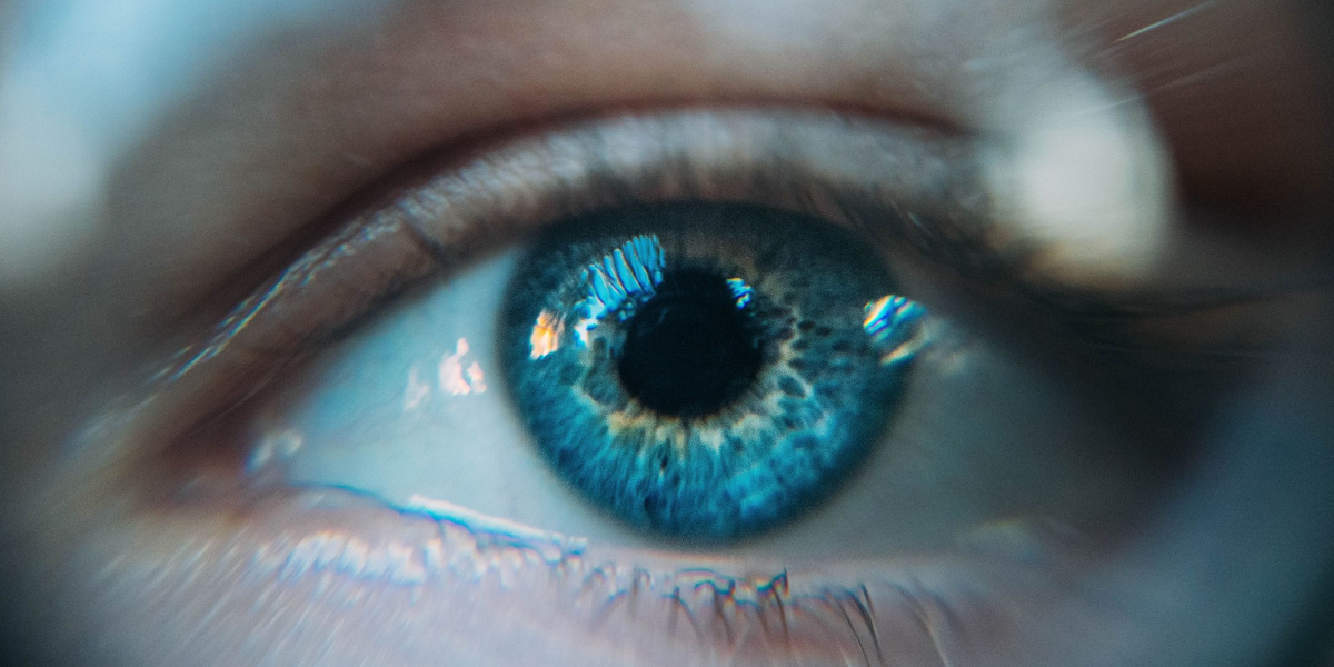 Eye repair bioelelctricity