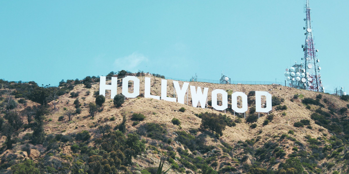 Hollywood hair loss stories