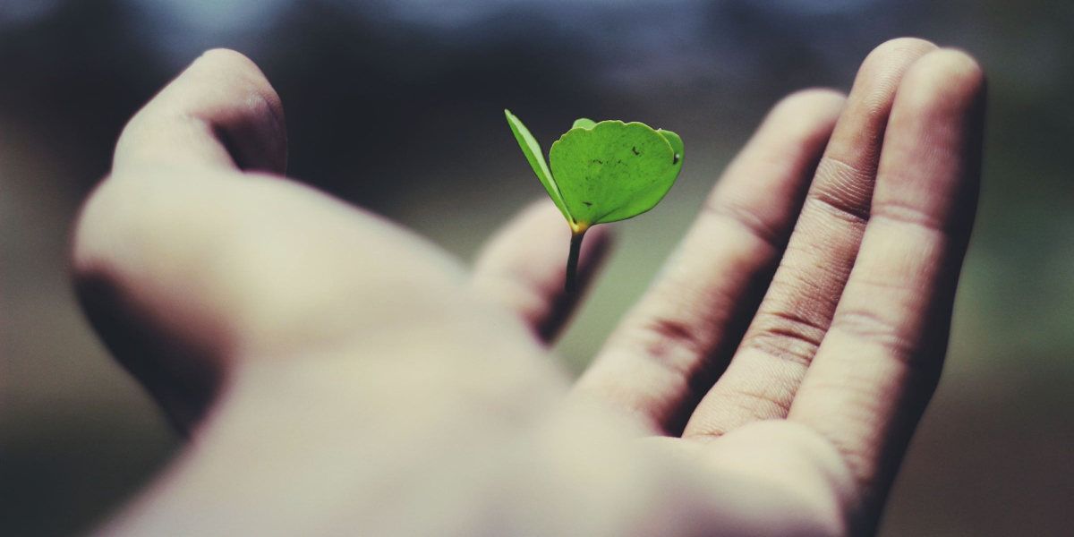 Human growth