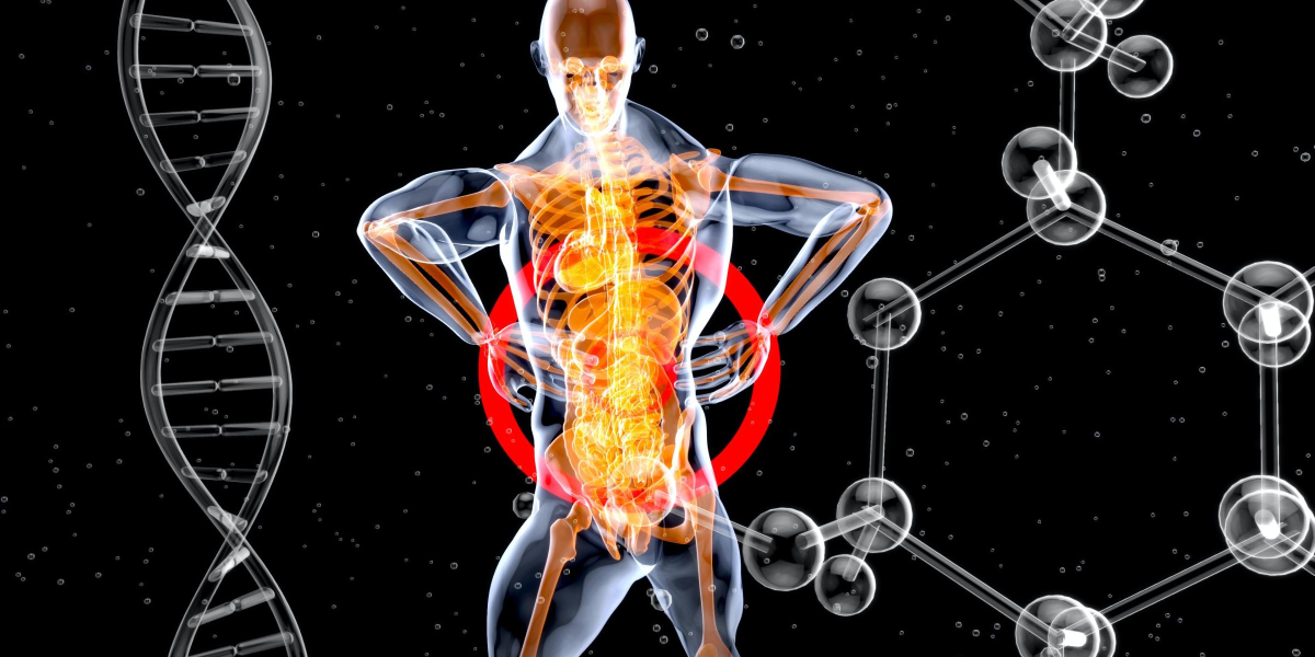Klotho ostearthritis