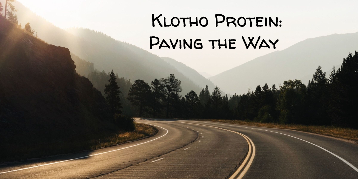 Klotho paving the way