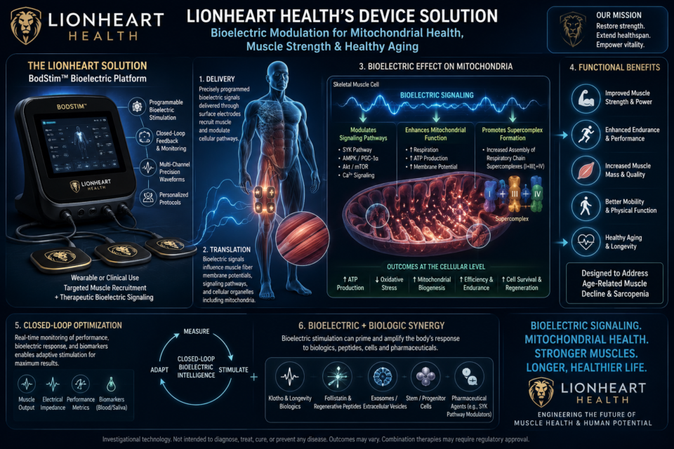 Lionheart solution