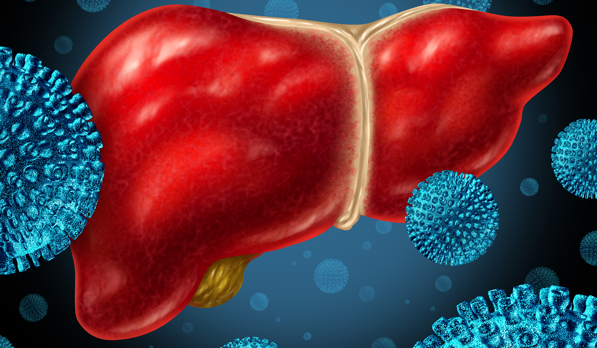 Liver image