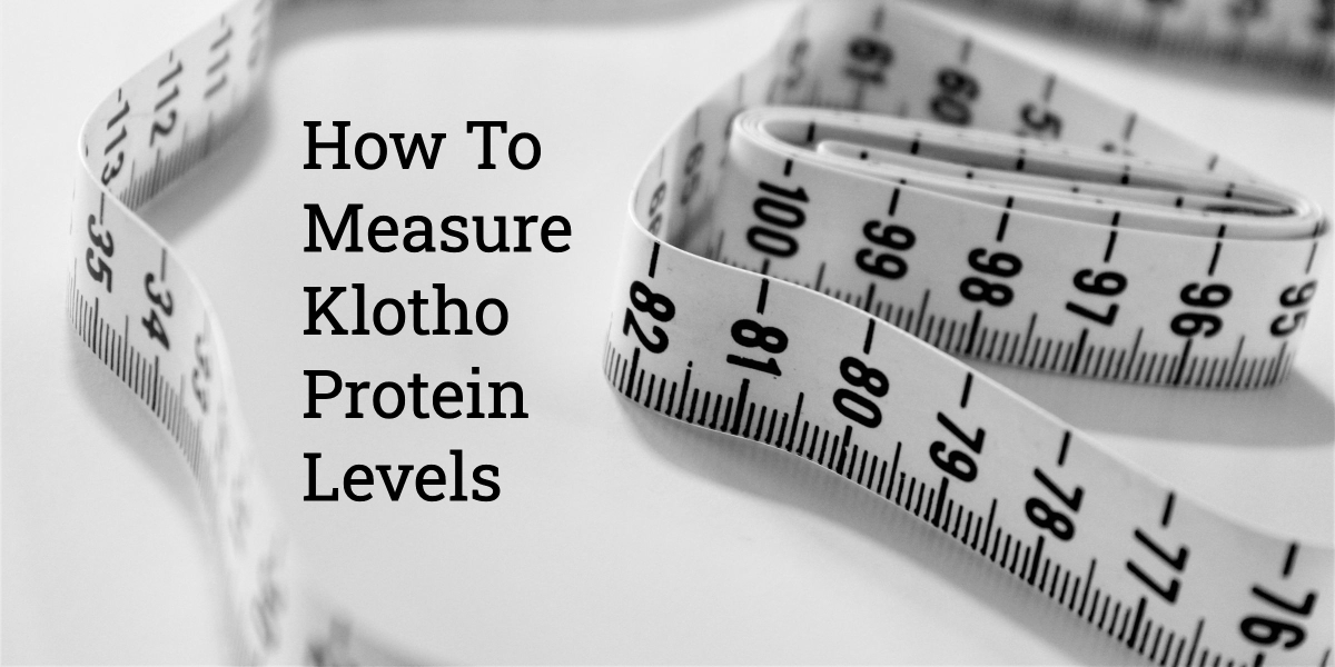Measure klotho protein levels