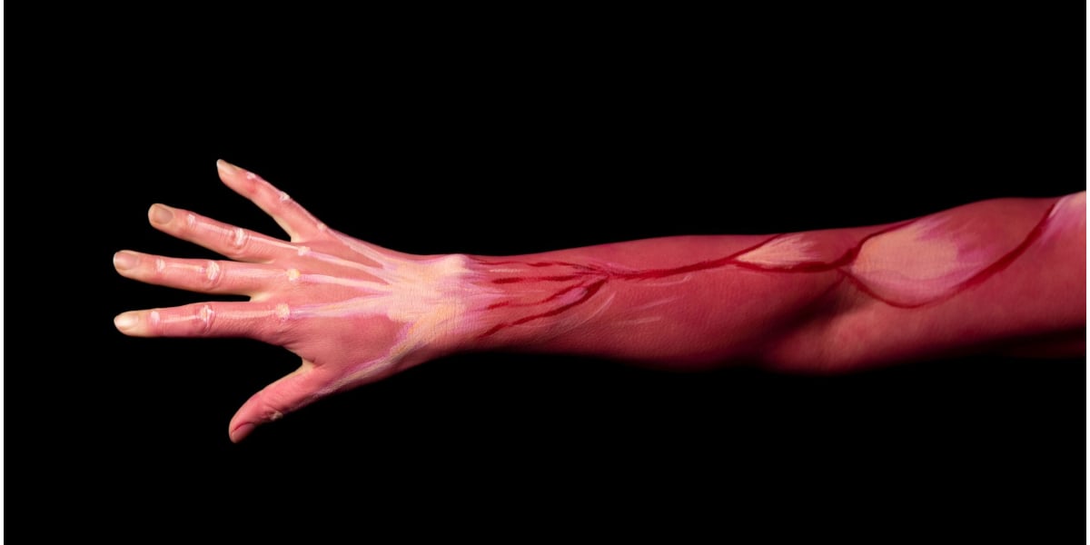 Muscle recovery3