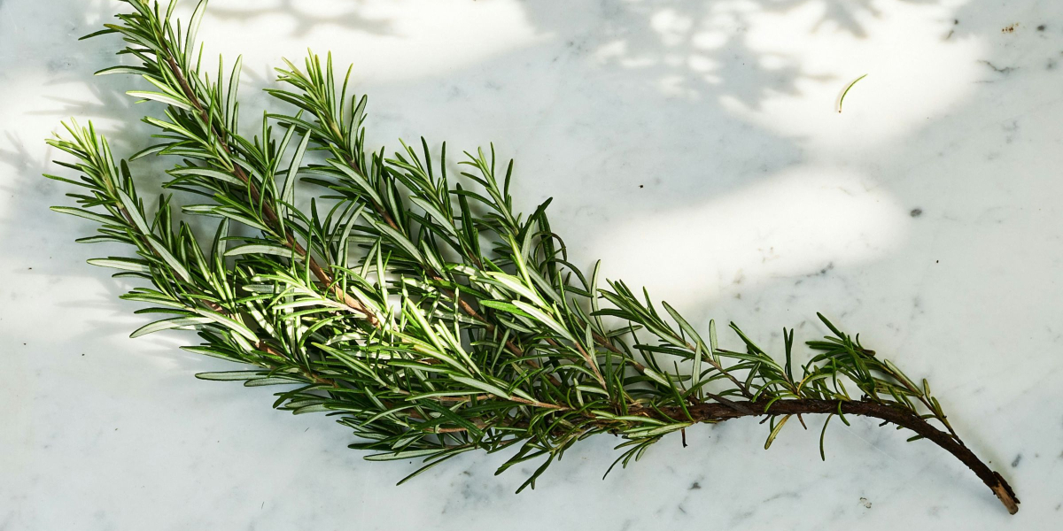 Rosemary hair
