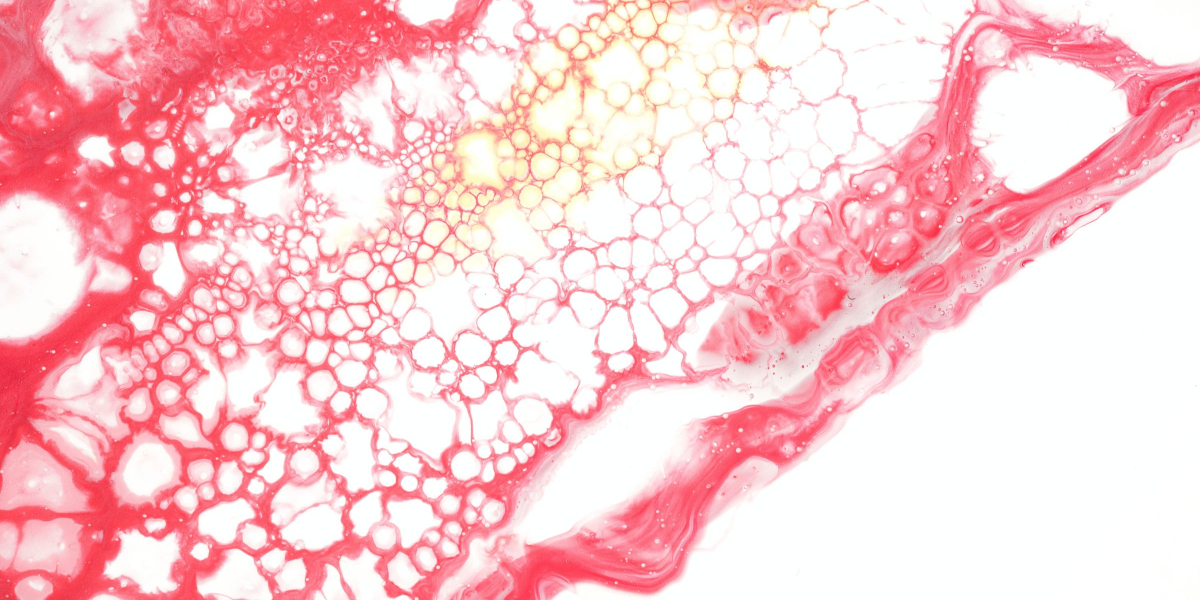 Scd.blog post feature