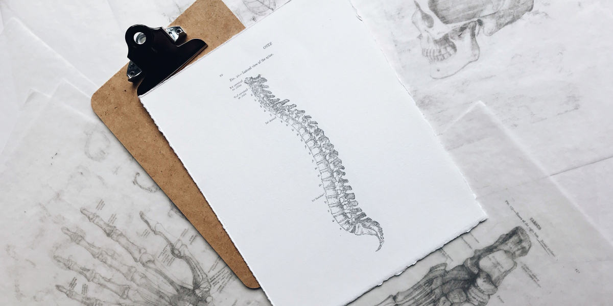 Spine.blog post feature