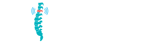 Spinestim logo