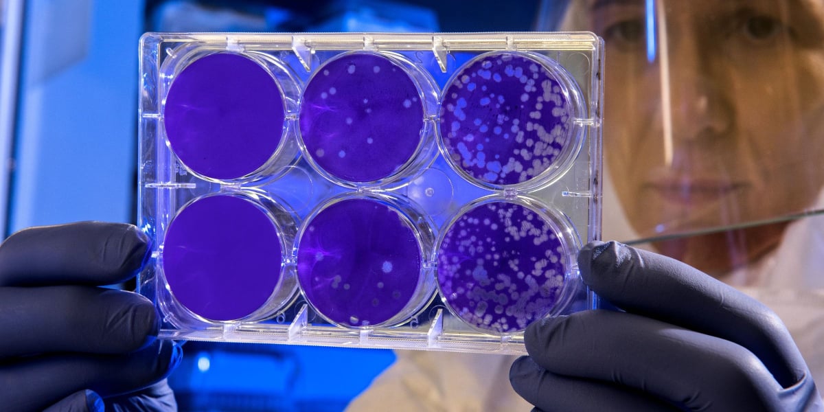 Stemcelll.blog post feature